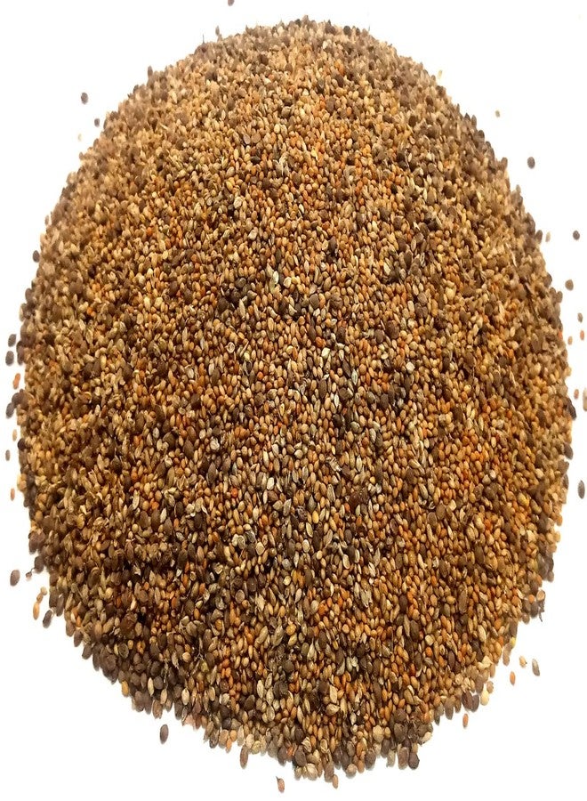 One Top Mixed 6 Multi Small Seeds Nuts Natural Birds Foods for Small & Big Cockatiel,Love Birds, Silver Finches, Munia, Parakeets, Parrots, Budgies,Dove Grain and Seed Eating Birds Nuts Bird Food - Image 1